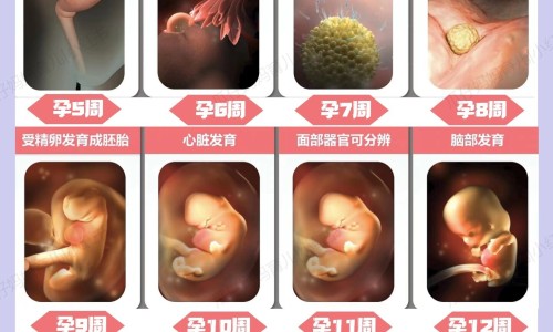 宝宝感冒能吃鱼油吗一岁-宝宝感冒能吃鱼油吗网-分享宝宝感冒能吃鸡肉么，感冒可以吃鱼油吗知识库